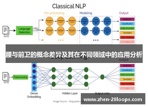 腰与前卫的概念差异及其在不同领域中的应用分析