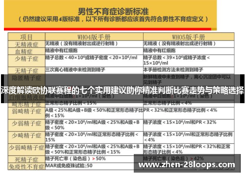 深度解读欧协联赛程的七个实用建议助你精准判断比赛走势与策略选择