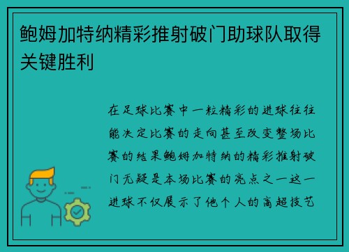 鲍姆加特纳精彩推射破门助球队取得关键胜利